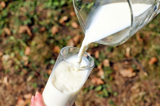 Lire la suite à propos de l’article Quel lait végétal ? L&rsquo; alternative santé au lait animal