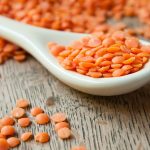 Les lentilles Corail