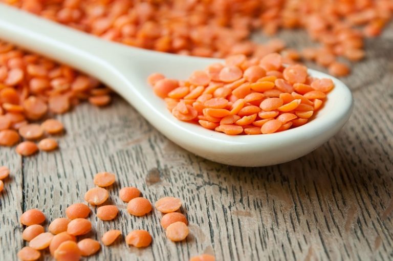 Lire la suite à propos de l’article Les lentilles Corail