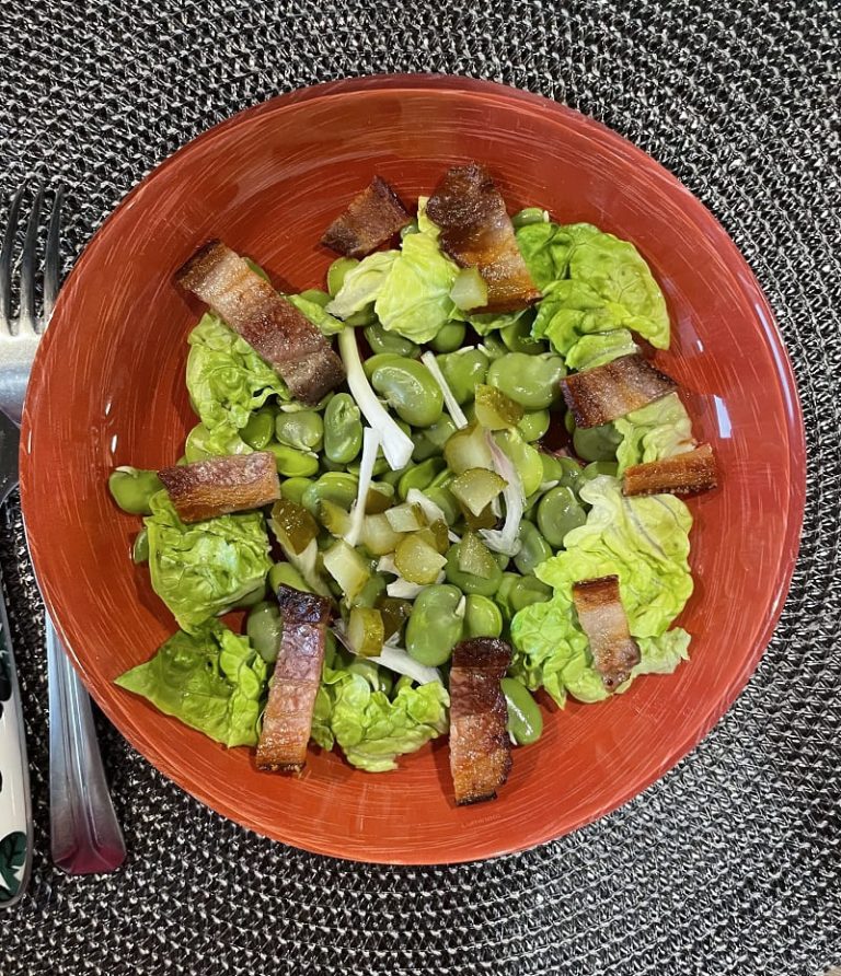 Lire la suite à propos de l’article Salade de fèves fraiches