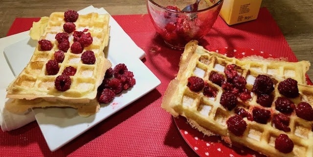 Réussir des gaufres sans gluten et sans lait animal