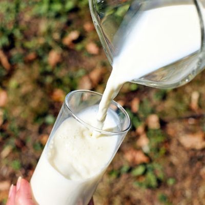 Quel lait végétal ? L’ alternative santé au lait animal